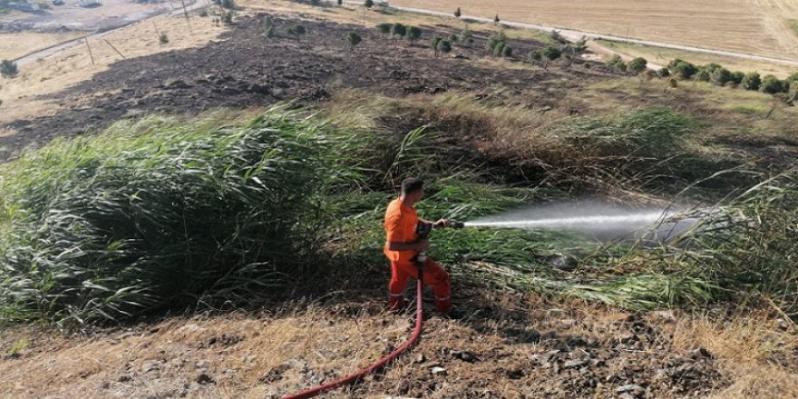 Gaziantep'in Nurdağı ilçesinde orman yangını