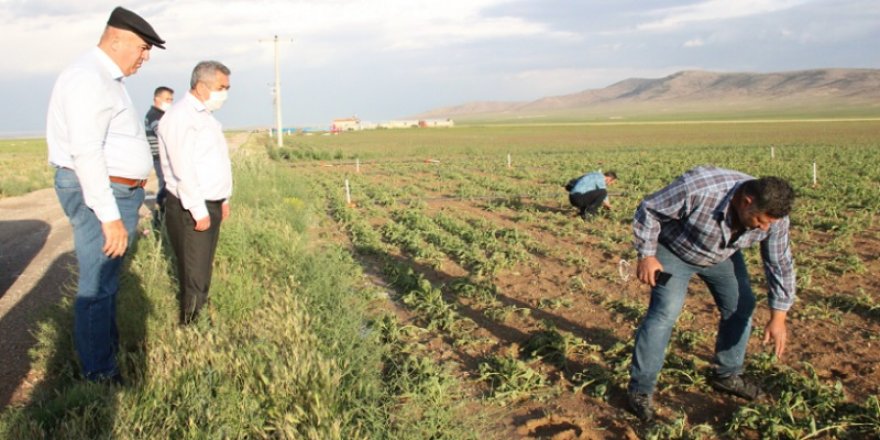 Karaman’da zeytin büyüklüğünde yağan dolu arazilere zarar verdi