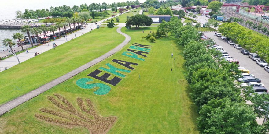 Kocaeli'de Sekapark yeşil siyah renklere büründü