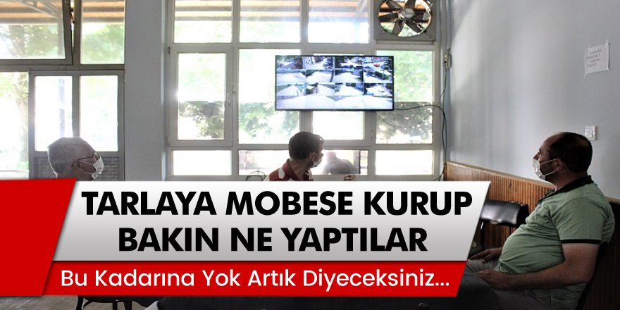 Bu Kadarına Yok Artık Diyeceksiniz! Bursa'da Tarlaya Mobese Kamera Kurup...