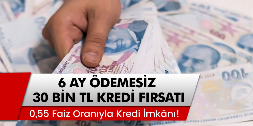 Halkbank İhtiyaç Destek Kredisi! 6 Ay Ödemesi ve 0,55 Faiz Oranıyla Kredi İmkânı!