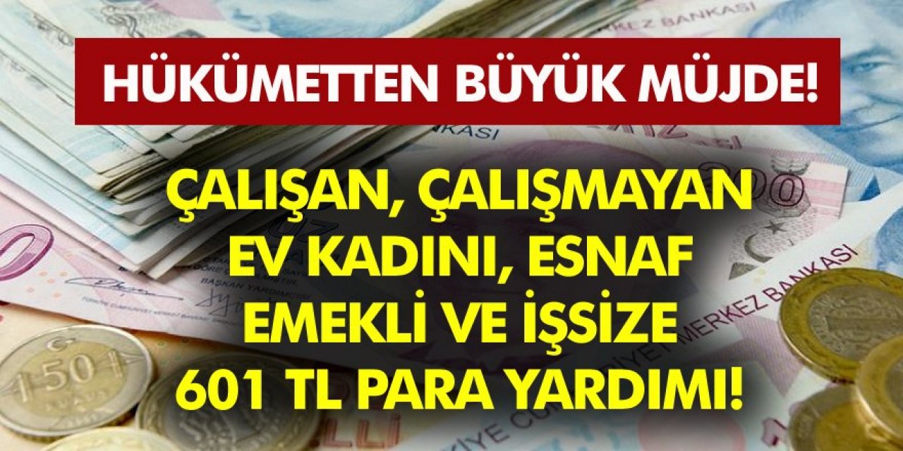 Çalışan Çalışmayan, Ev Kadını, Esnaf, Emekli Ve İşsizlere 601 TL Para