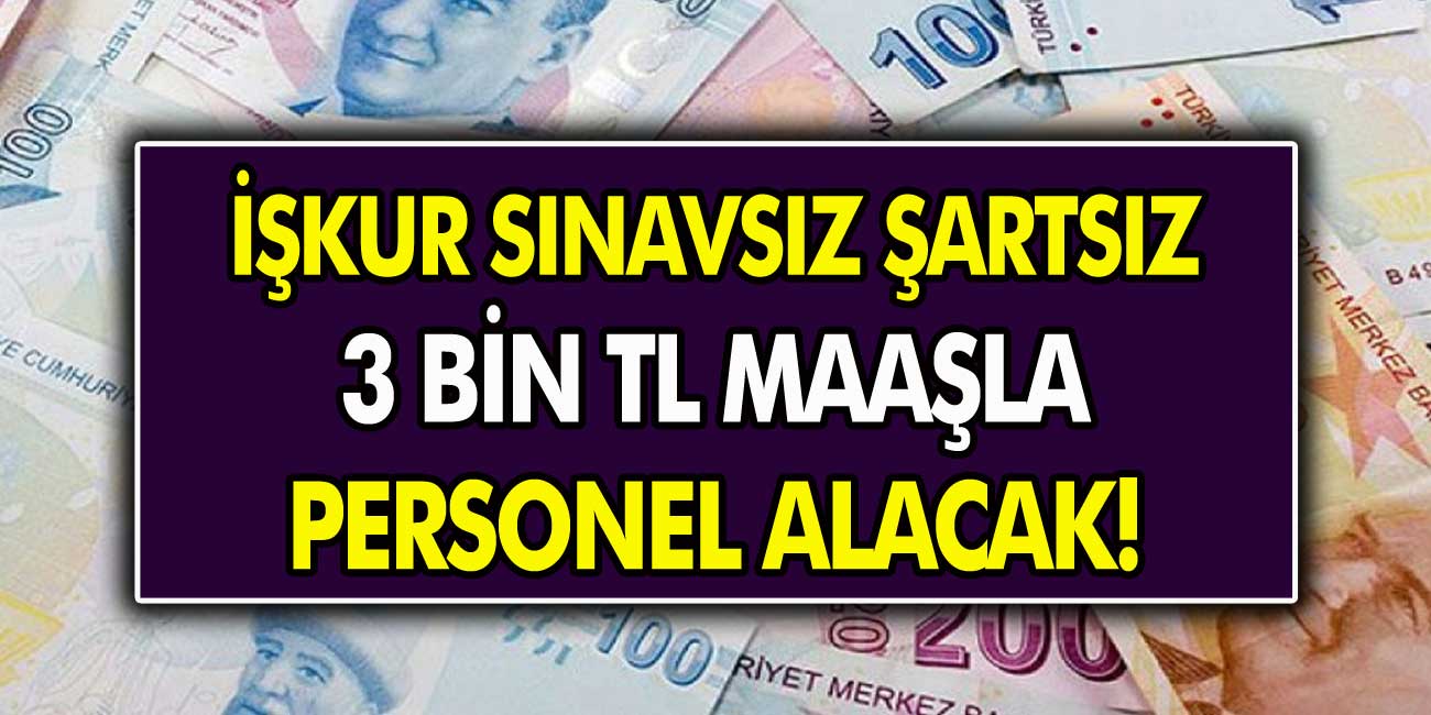 Son Dakika: İŞKUR personel alımına başladı! 3 Bin TL maaşla KPSS şartsız çalışacak personel aranıyor…