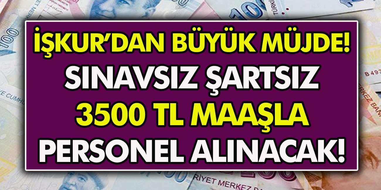 İŞKUR’dan müjde! En az ilkokul mezunu personel alımı yapılacak! ATT