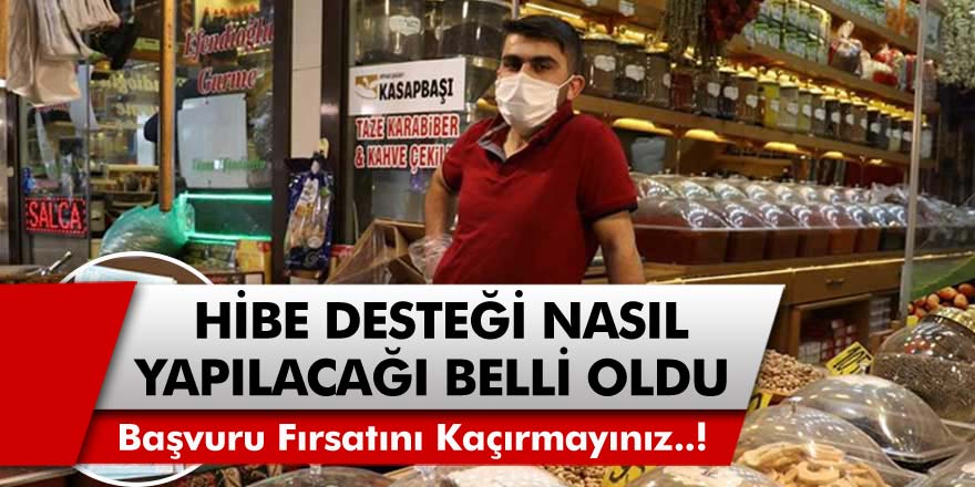 Hibe Desteği Başvuruları Nasıl Yapılacağı Belli Oldu..! Başvuru Fırsatını Kaçırmayın