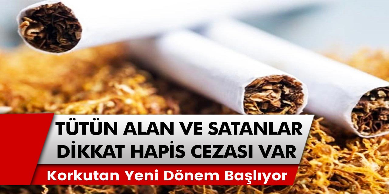 Tütün alan ve satan herkes için dikkat edilecek dönem: Yeni dönem için çok az kaldı…