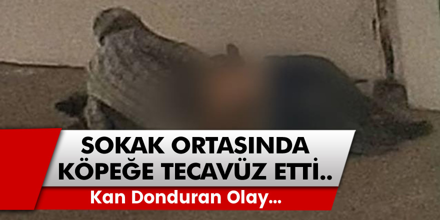 Aydın'da kan donduran olay: Sokak ortasında köpeğe tecavüz eden cani yaratık…