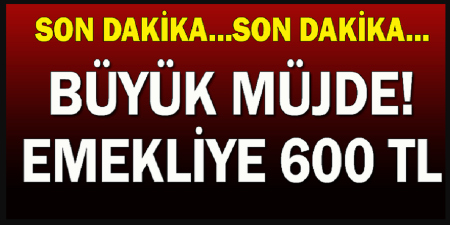 Milyonlarca Emekliye Müjde! Bankaların Ödeme Detayları Belli Oldu İşte detaylar...