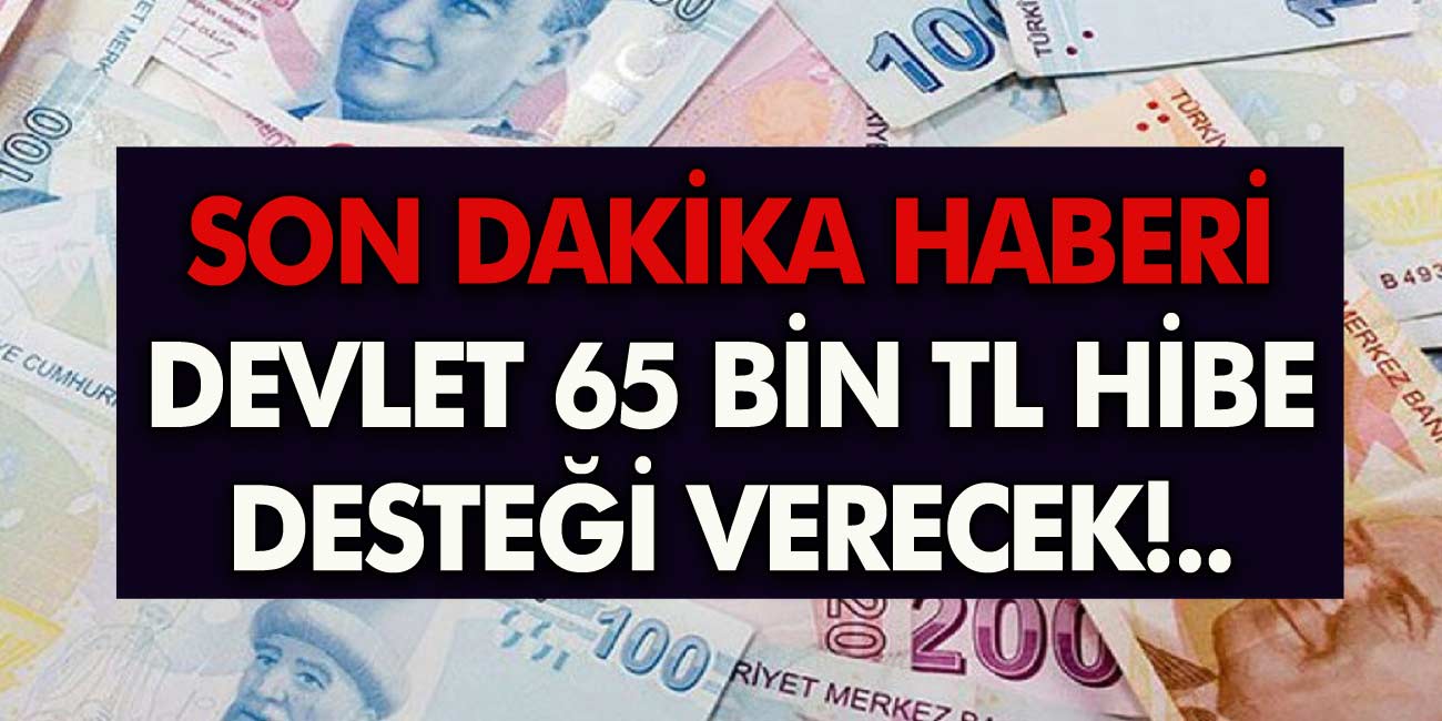 Milyonlara Müjde Devlet 65.000 TL hibe verecek! KOSGEB az önce son dakika duyurdu!