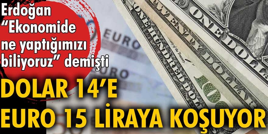 Son Dakika Dolar Bug N Ld Rd Rekor St Ne Rekor K R Yor Dolar E Euro Tl Ye Y Kseldi