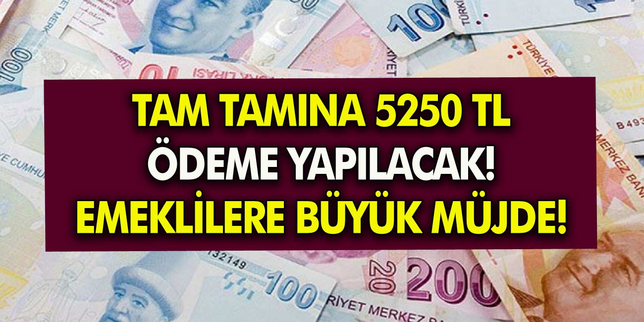 Büyük Müjde Duyuruldu! Emekli kişilere ek 5 bin 250 lira ödenecek!