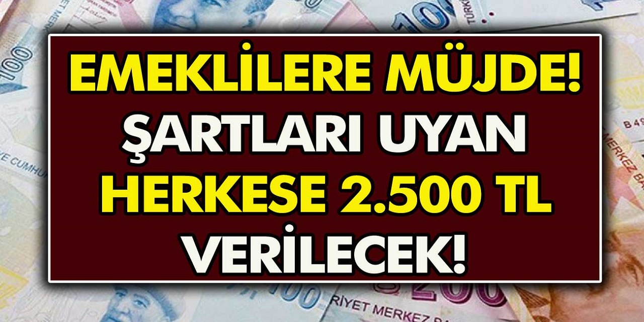 Tüm emekli vatandaşlara Ramazan’a özel 2.500 TL verilecek! Banka hesabına ek para yatırılıyor Hemen paranızı ATM’den çekin