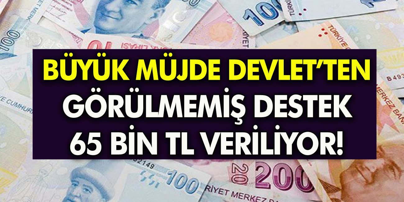 Muhteşem haber Devletten görülmemiş destek başladı! e-Devletten başvuru yaparak  Anında 65.000 TL veriliyor!