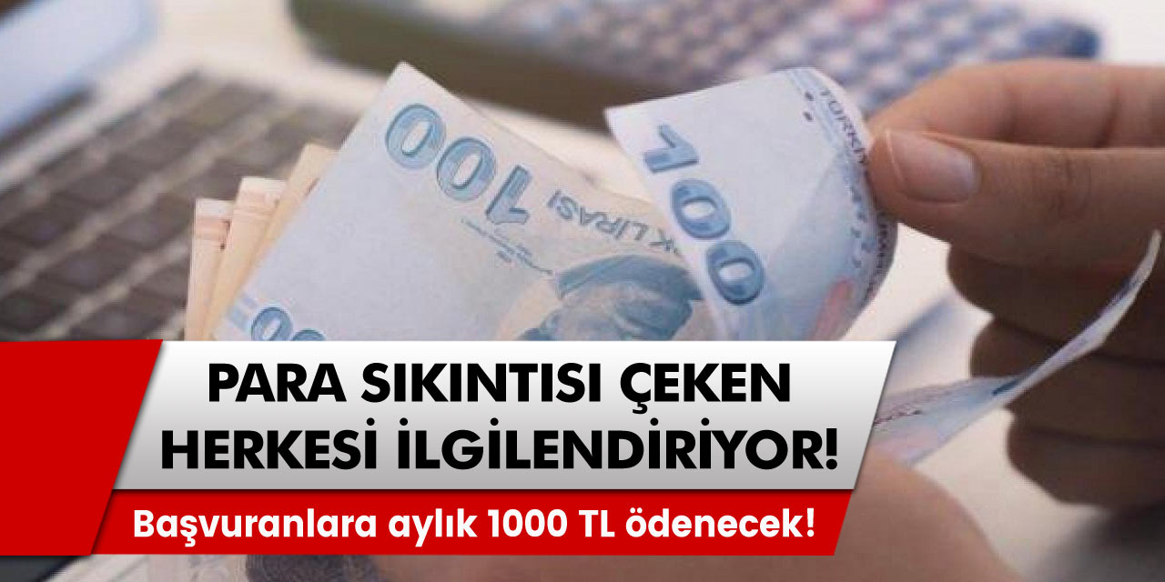 Para sıkıntısı çekenler dikkat! Başvuranlara aylık 500 TL ve 1000 TL para ödenecek!