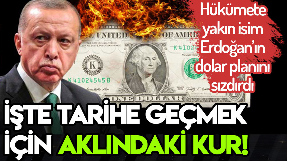 Cumhurbaşkanı Erdoğan'a yakın biri tarihe geçmek için kuru düşüreceği seviyeyi sızdırdılar!