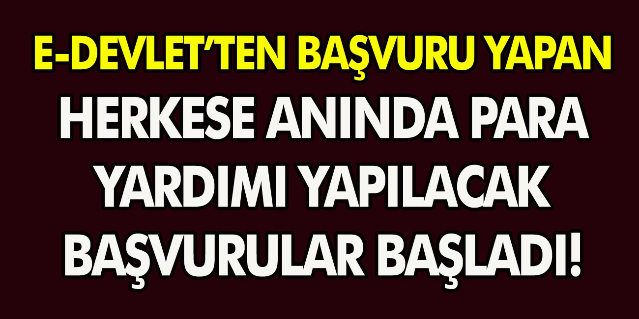 Müjde E-devletten başvuran herkes 12 ay boyunca alacak! Tam 1.687 TL kuruşu kuruşuna yatacak!