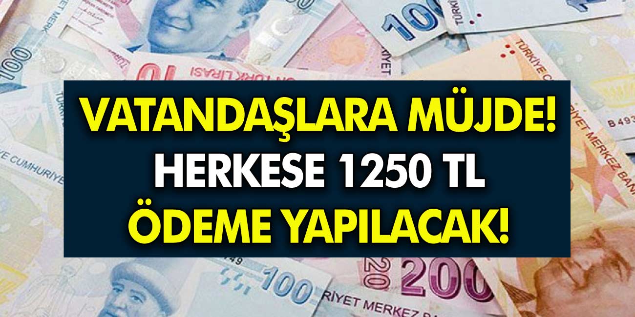 12 Ay Boyunca Geri Ödemesiz 1.250 TL! Başvuru Sayısı Şimdiden Milyonlara Ulaştı!