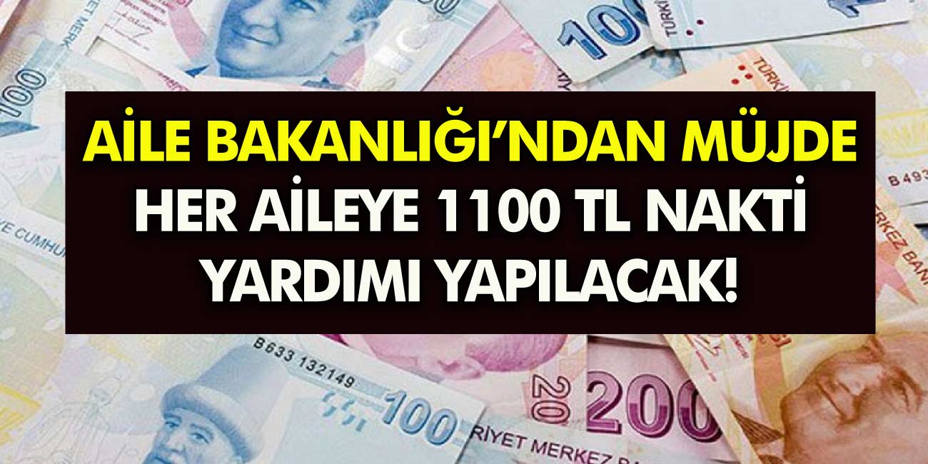 Her eve 1.100 TL yardım yatırılacak! Devlet destekli 1.100 TL yardımdan Kimler faydalanabilir, nasıl başvurulur?