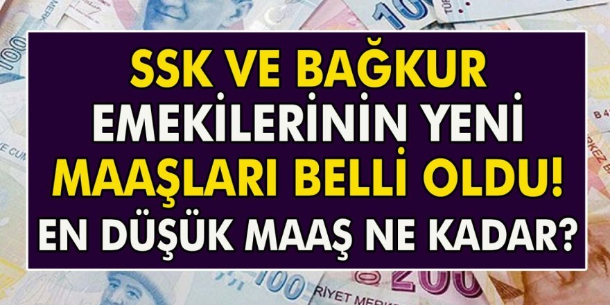 Emekli Maaşı Rekor Seviyede: SSK, BAĞ-KUR ve Memur Emekli Zam Oranları Belli Oldu! En Düşük Emekli Maaşı 8 bin 517 TL oldu!