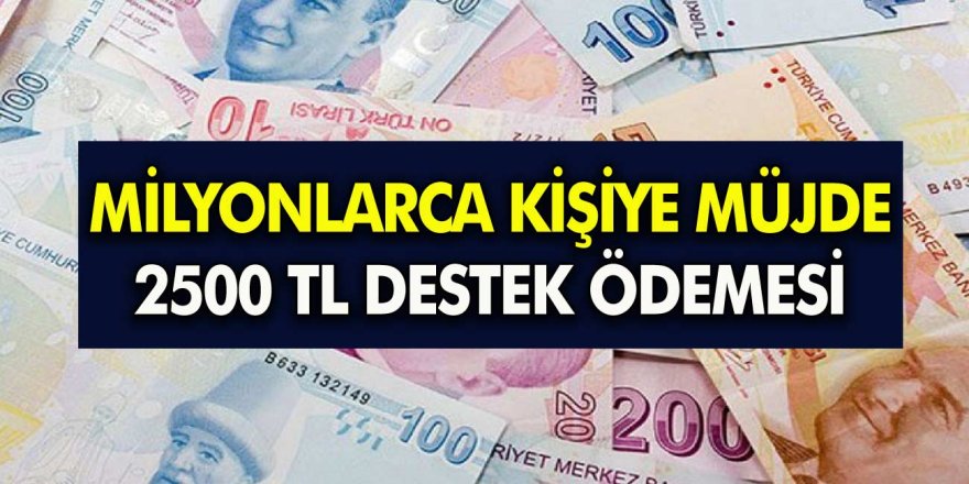 Hane başına 2.500 TL parası ödemeleri başladı! Aileden bir kişi başvursa yeter: PTT'den ödemenizi alabilirsiniz!