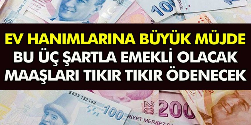 Senelerdir Beklenen Hayal Gerçek Oluyor Ev Hanımları Bu üç şartla Emekli Olacak Maaşları Her 3517