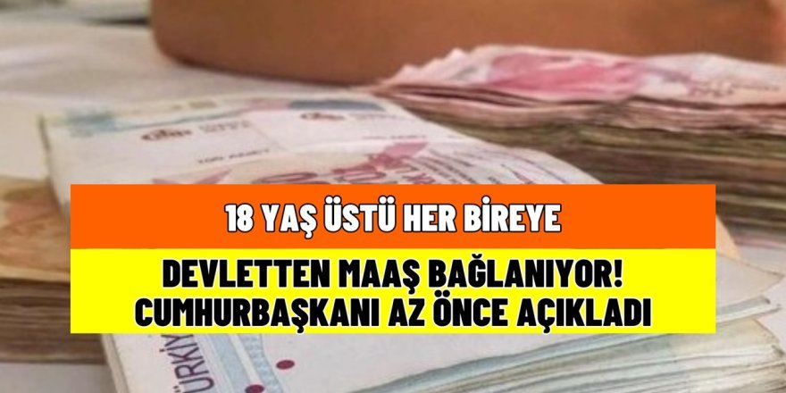 Cumhurbaşkanı duyurdu Resmi gazetede yayınlandı! 18 yaş üstü herkese maaş bağlanacak! Vatandaşlık maaşı nedir?