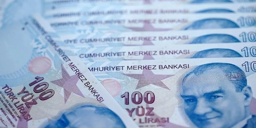 2025 Ocak Ayın Ayında Gelirler Tavan Yapıyor! Kim, Ne Kadar Kazanacak?