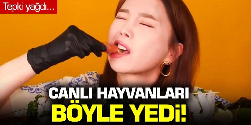 Canlı canlı hayvanları böyle yedi! YouTuber Ssoyoung, tepki yağdı